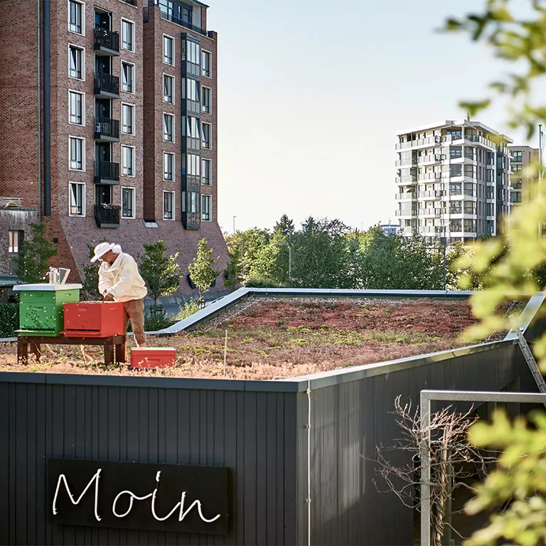 Imker auf begrüntem Hoteldach mit Bienenstöcken, im Hintergrund moderne Wohngebäude.